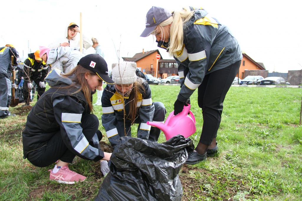 ������� ��������CAMC8101.jpg